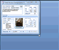 Microsoft Access Form Resizer