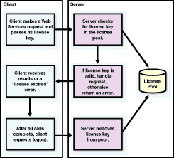 Using and expiring license keys