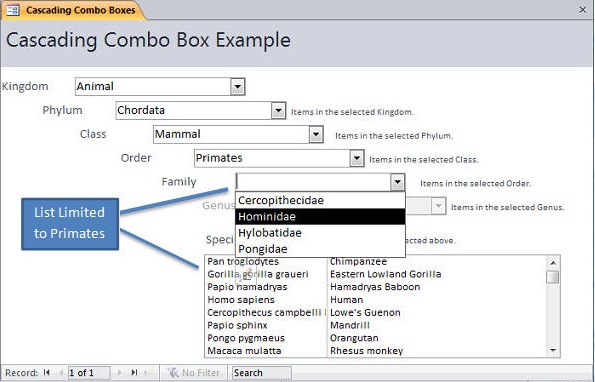 Microsoft Access Cascading Combo Boxes